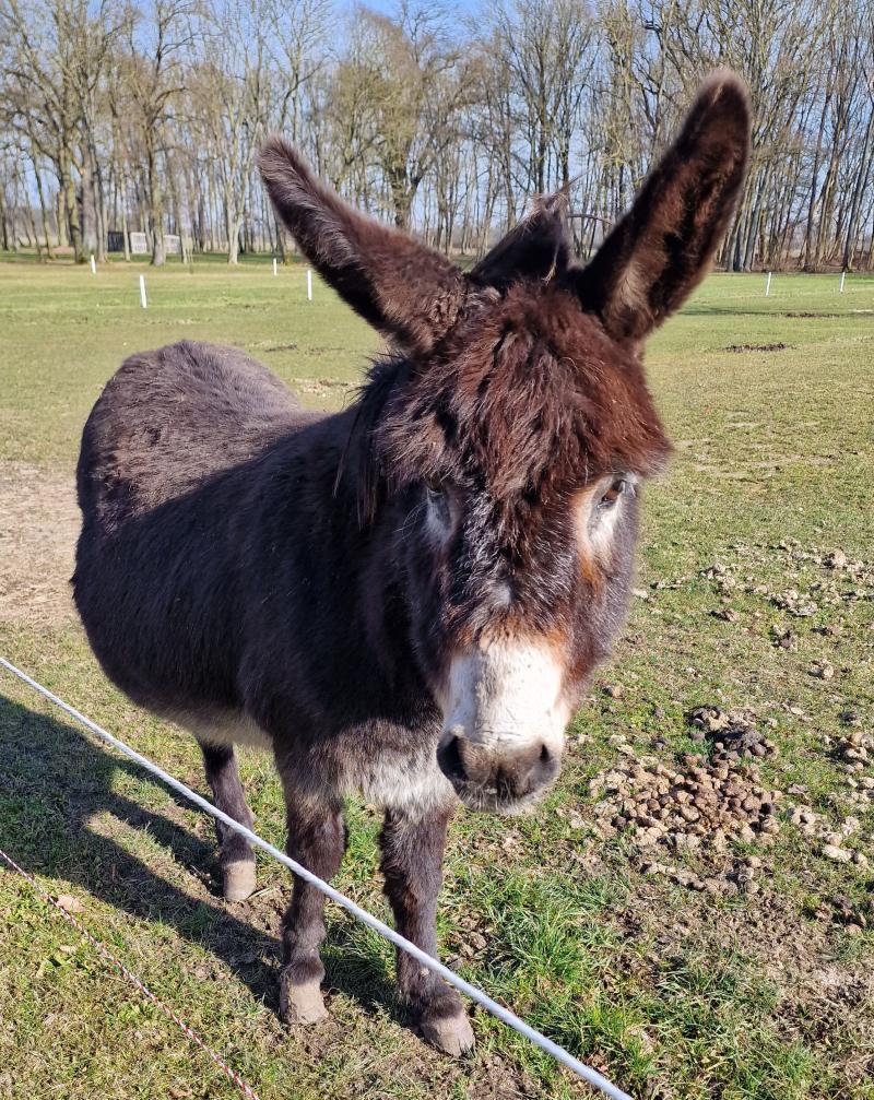 The project Gutleben Büttnershof -ein Werkdorf in der Altmark
