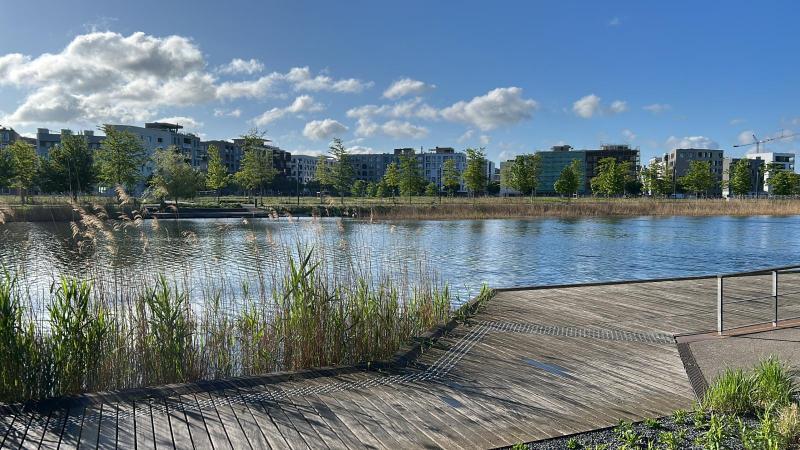 The project Baugemeinschaft Sommerinsel im Neckarbogen